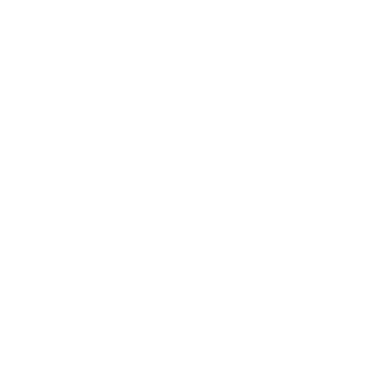 Logo Physiotherapie Daniel Richter